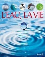 Leau, la vie de Franco, Cathy