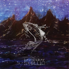 David Gray Skellig (Vinyl) 12"