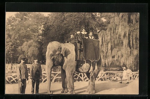 Carte postale anvers jardin - postale,