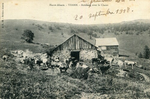 Thann rossberg avec chalet - thann,