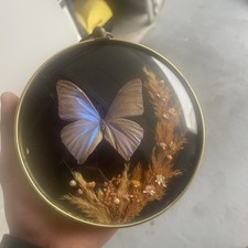 Cadre  Rond avec papillon