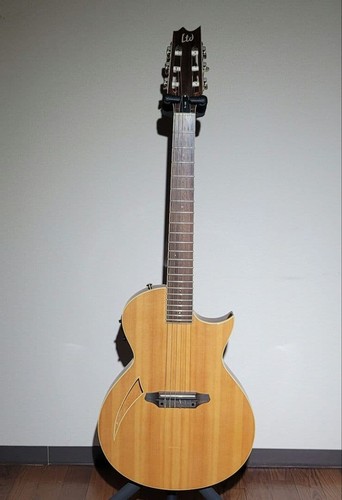 Guitare acoustique esp ltd - acoustique,