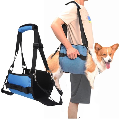 Chien carry sling - chien, à