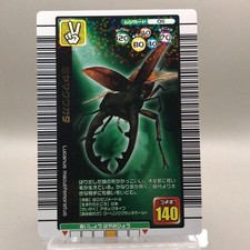 Lucanus Stag-Beetl Insect 011