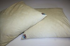 Paire de coussins oreillers