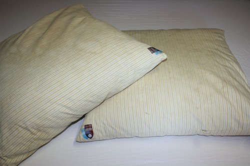 Paire coussins oreillers - coussins,