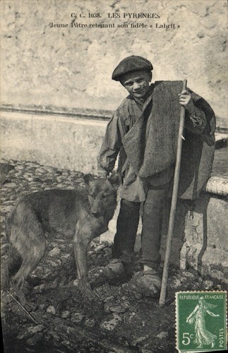 Les pyrénées jeune - les,