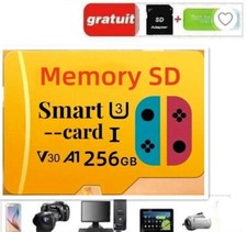 Carte mémoire 256 GO Gaming