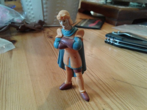 Phoebus bossu de notre - le,