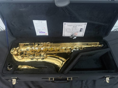 Yanagisawa two1 tenor - yanagisawa,