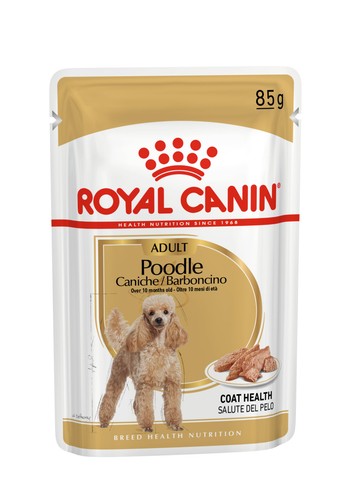 Caniche adulte aliment - caniche,