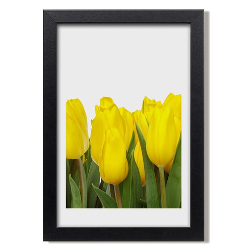 Tulup photo cadre - 20x30cm, le