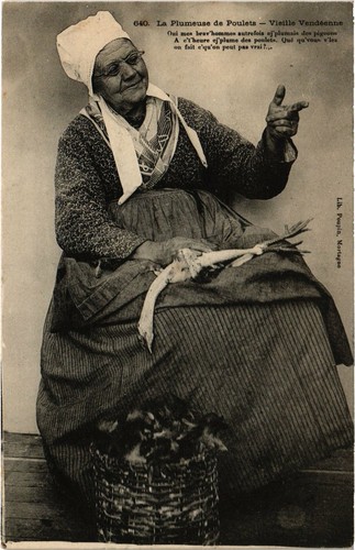 Cpa plumeuse poulets - plumeuse, de