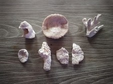 Corail blanc Fossile ancien