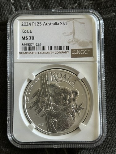 2024 australia koala - 1, oz
