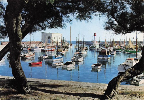 Ile oleron port de - oleron, le