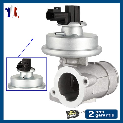 Vanne egr pneumatique pour - pneumatique,