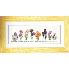 Théa Gouverneur Kit au point de croix compté "Crocus Panel Aïda", 48x16cm