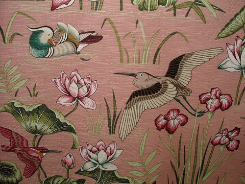Japonais eau lily oiseaux - eau,