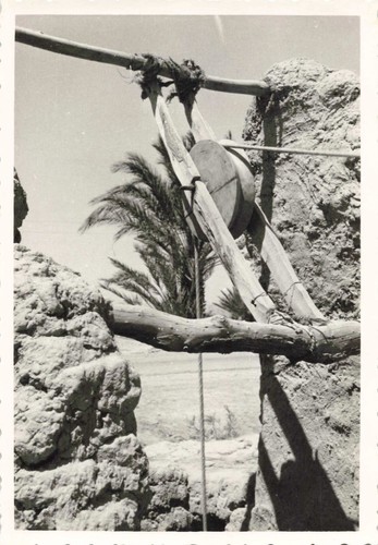 Jolie photo ancienne vers - jolie,