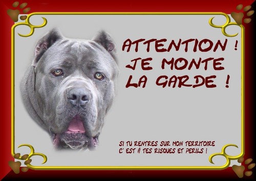 Plaque garde cane corso - plaque,