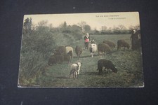 LA VIE AUX CHAMPS DANS LA