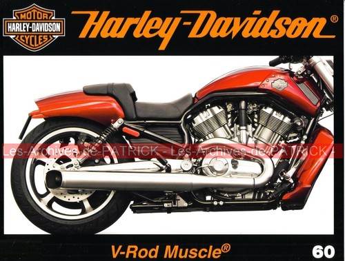 Harley davidson vrscf 1250 - harley,