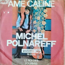 MICHEL POLNAREFF Très RARE 45T SP HOLLANDE PALETTE PB 25.595 AME CALINE