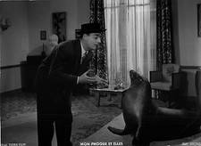 PIERRE BERTIN DANS "MON PHOQUE