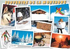 Animaux - Chiens - Husky - L'hiver en Montagne - Multivues - Skieurs - Hiver - N