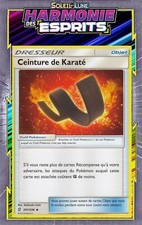 Ceinture de Karaté- SL11:Harmonie Des Esprits - 201/236 - Carte Pokemon Neuve FR