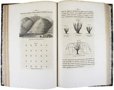 GUYOT, Jules Sur la viticulture du Sud-Ouest de la France.