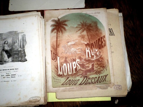 Les loups rouges - loups, galop