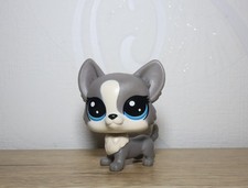 littlest petshop corgi #3-85