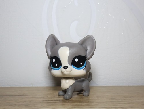 Littlest petshop corgi - petshop, #3-85