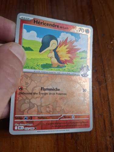 Carte pokémon héricendre - carte,