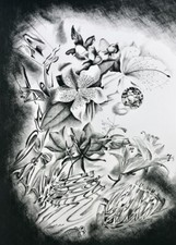 Maurice MAETERLINCK L’Intelligence des Fleurs gravures burin TAVY NOTTON 1/ex n°