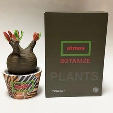 Medicom Toy Pachypodium