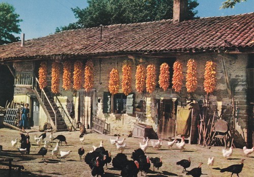 Carte postale bresse - bresse., ferme