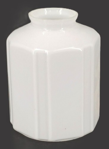 Tulipe opaline balnche - en,
