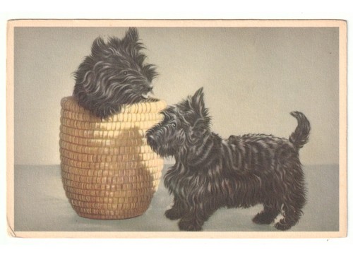 Carte postale ancienne non - carte,