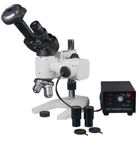 Microscope lumière - microscope,