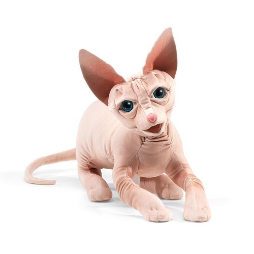 Sphynx cat folkmanis - sphynx,
