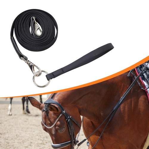 Longe pour cheval avec - cheval, rênes