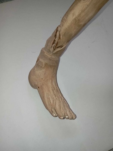 Canne bois pieds - canne,