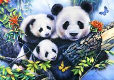 Puzzle "Famille Panda" - 1000 pièces - Bluebird-Puzzle - Neuf Sous Blister