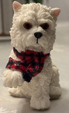 West Highland Terrier Dog