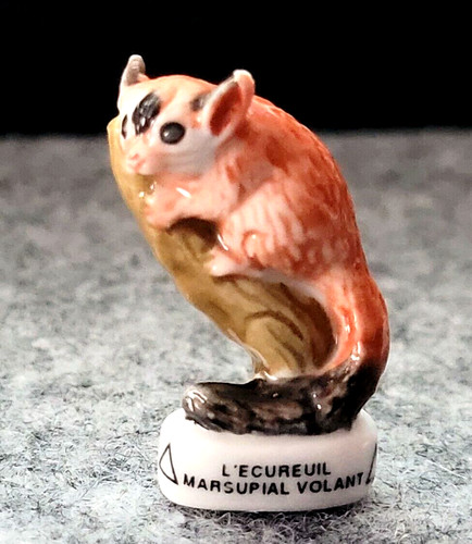 Fève écureuil marsupial - l'écureuil,