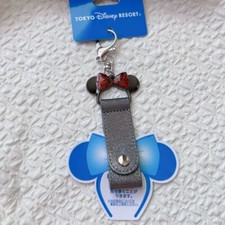 Japon Tokyo Disney Resort