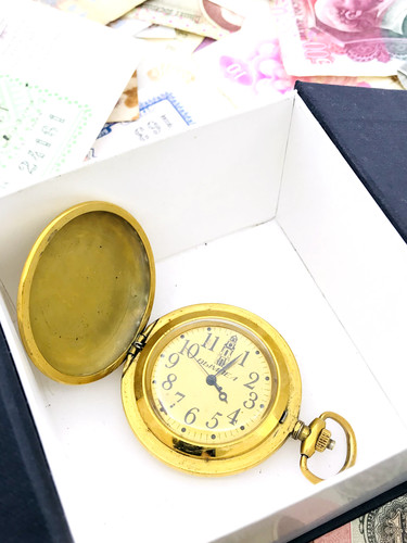 Rare raketa bison bull - rare,
